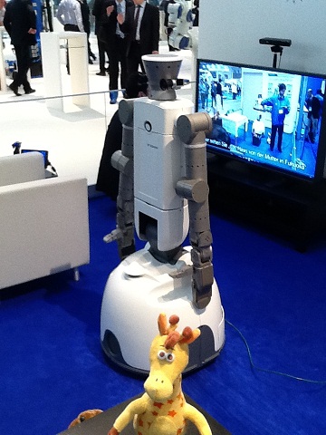 Robopal service robot