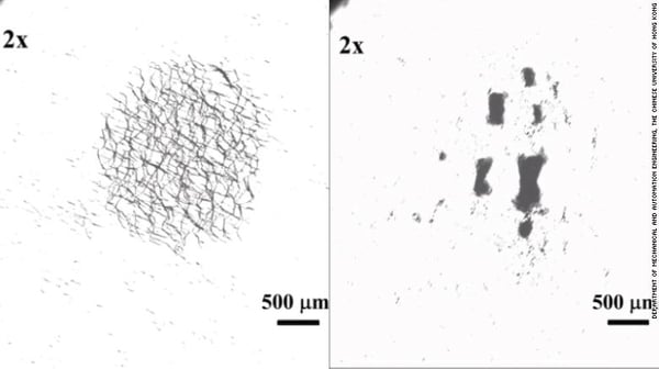 180904111725-20180904-nano-robort-split-exlarge-169