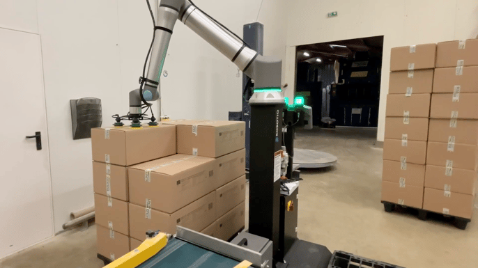 Biolintech palletizing solution 2