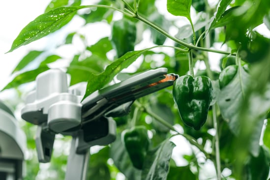 Agriculture robot with “L” the harvester