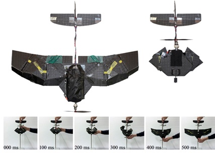 Foldable_drone.jpg