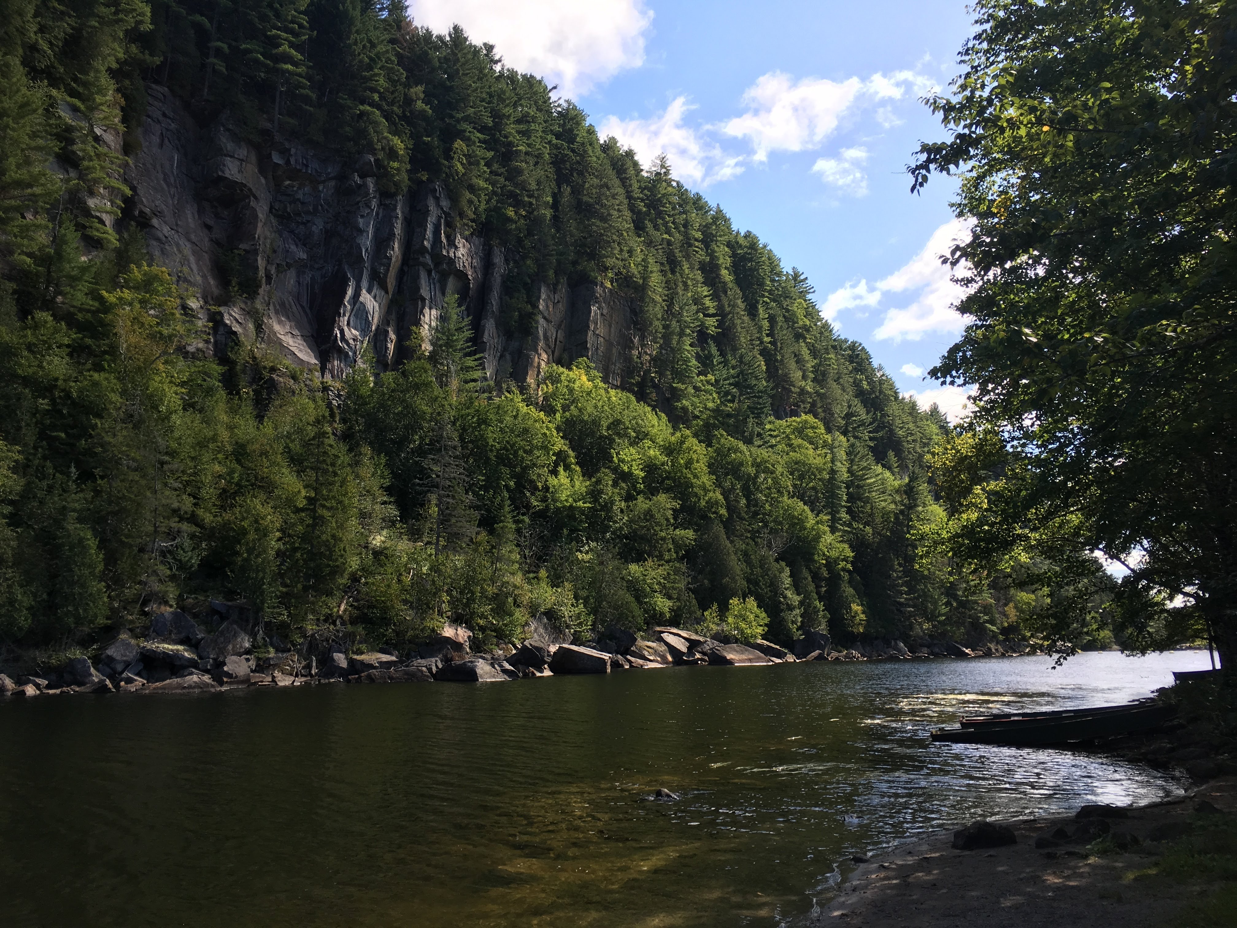 river and forest