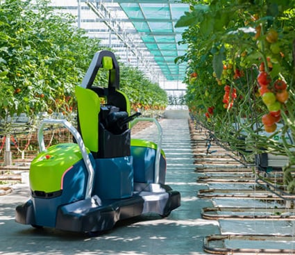 Automated leaf pruning for tomato plants