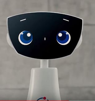 Robin the companion robot