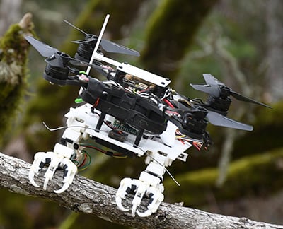 Drones with birds’ feet conserve energy