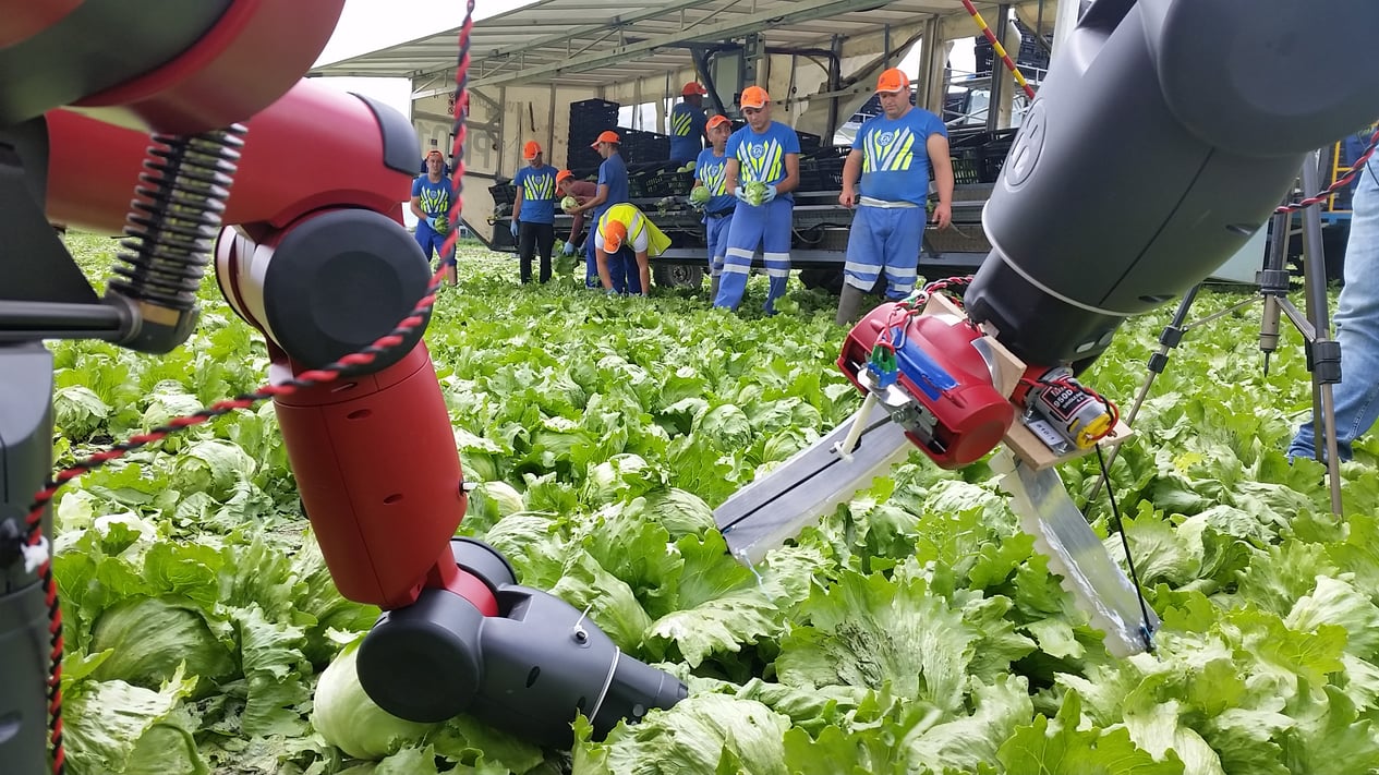 Ии в сельском хозяйстве. Роботы в сельском хозяйстве. Робототехника в сельском хозяйстве. Роботизированные системы в сельском хозяйстве. Роботы для сбора урожая.