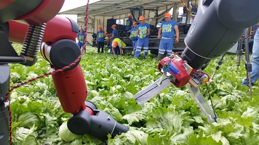 champs-de-robots-agricoles1