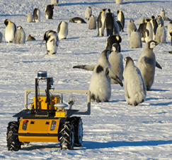 Robot móvil para estudiar pingüinos en la Antártida.