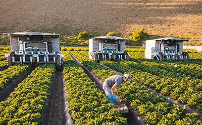 Mobile robots in agriculture