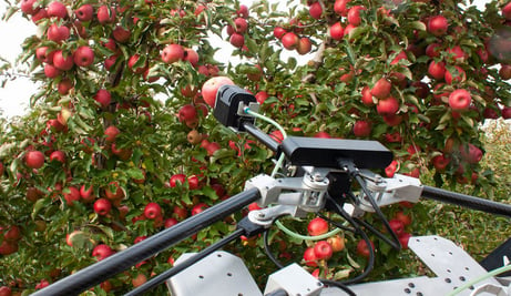 Apple Orchard Robots