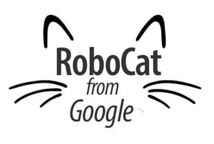 robocat-google