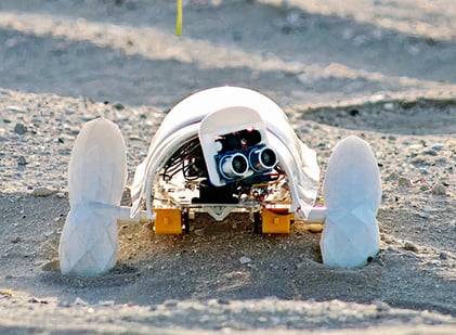 Robot being used to plant seeds