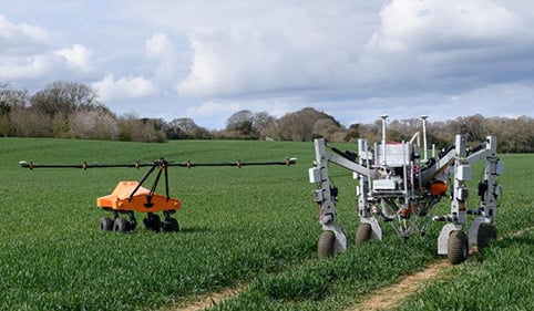 robot removing unwanted weeds in field