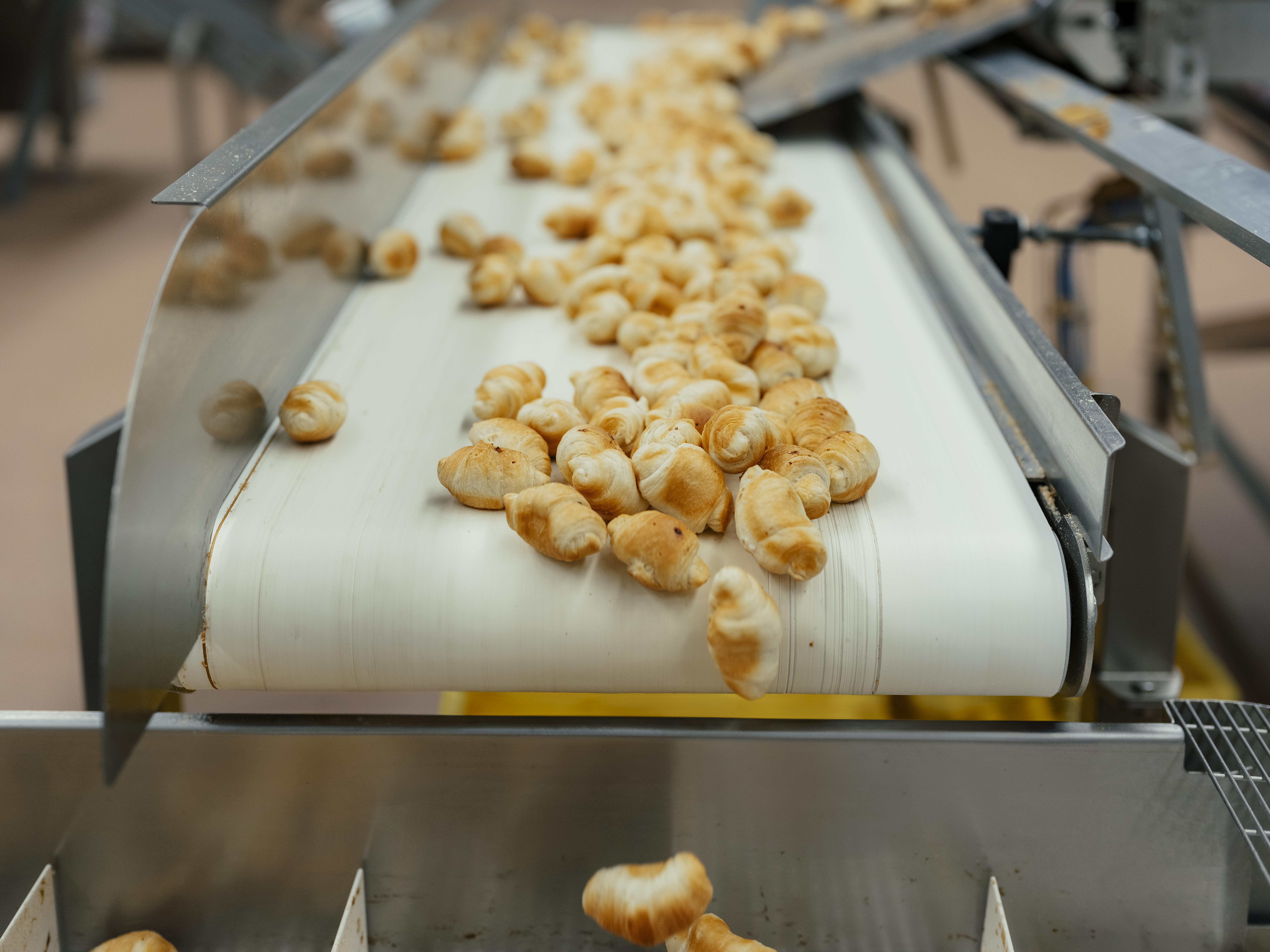 From Exhaustion to Agility: How Panovo Transformed Palletizing with Robotiq Automation