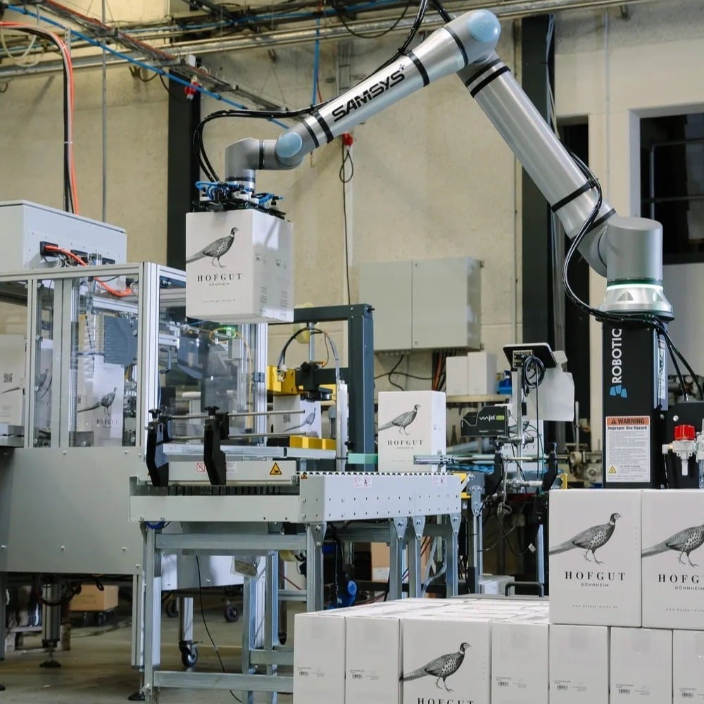 Essential Insights for Plant Managers Before Implementing Automation